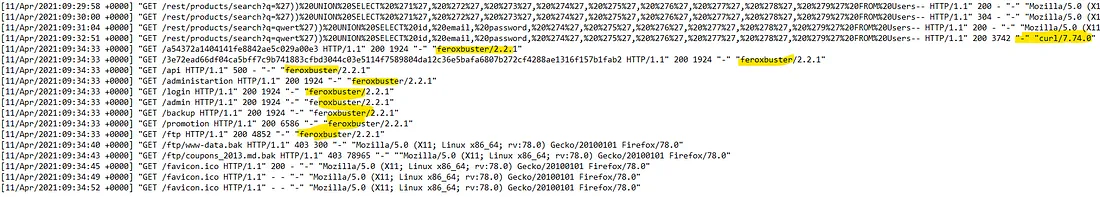 Curl and Feroxbuster in Logs