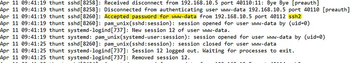 SSH Access Log